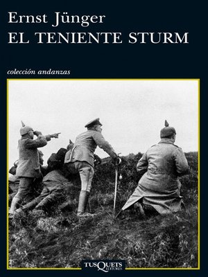 cover image of El teniente Sturm